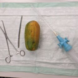 Zu sehen sind medizinische Instrumente und eine Papaya auf einer Unterlage. Die Intruemnte umfassen einen Dilatator, eine Klemme und ein Aspirationsspritze mit Schlauch